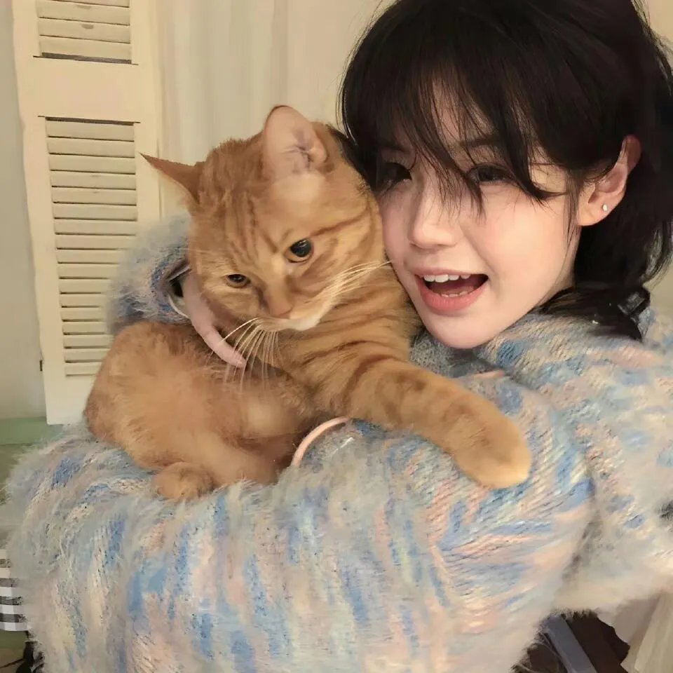 X档案:征服未来国语