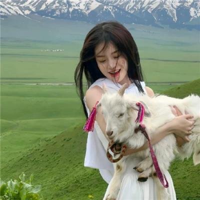 极限挑战第四季